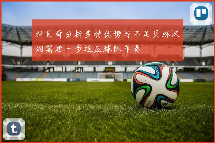 科瓦奇分析多特优势与不足贝林汉姆需进一步适应球队节奏
